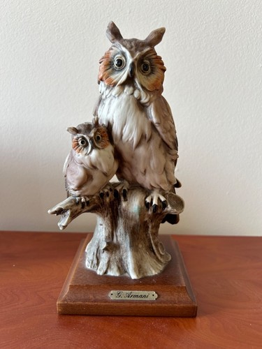Guiseppe armani owl - owl, baby